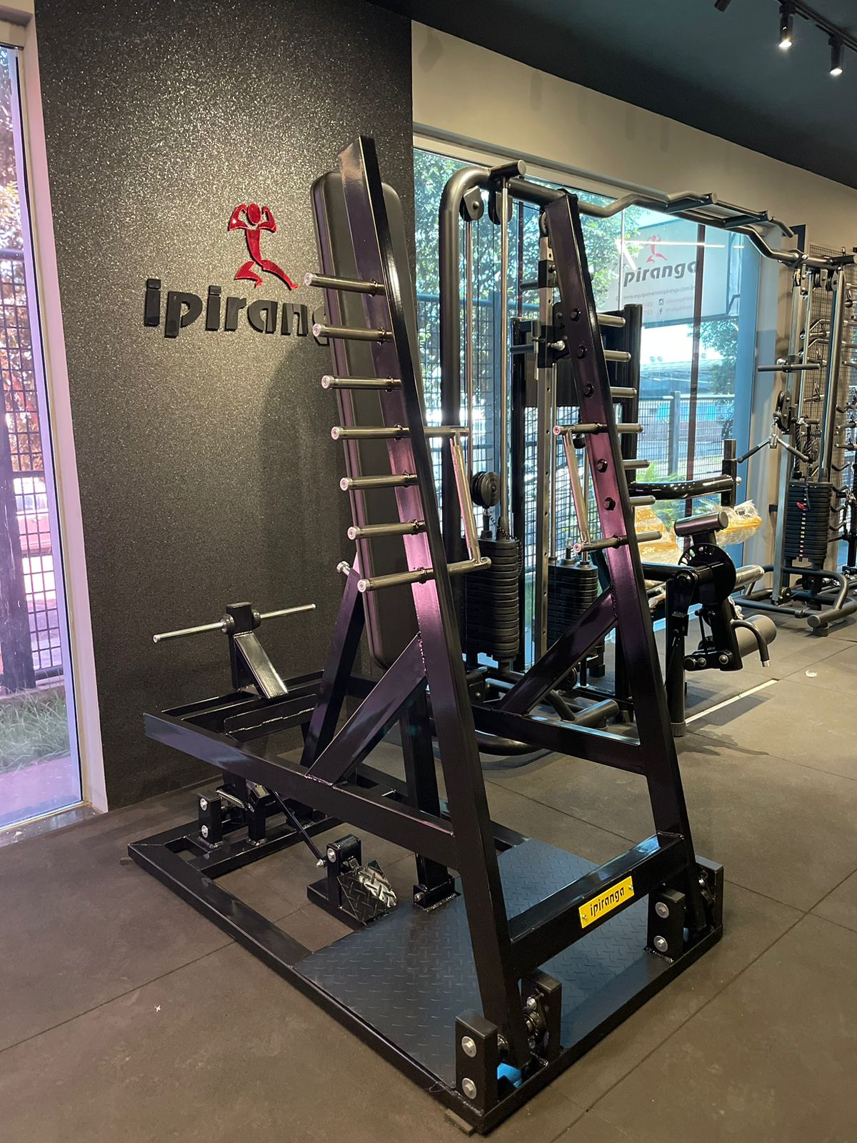 Chest press standing supino em pé
