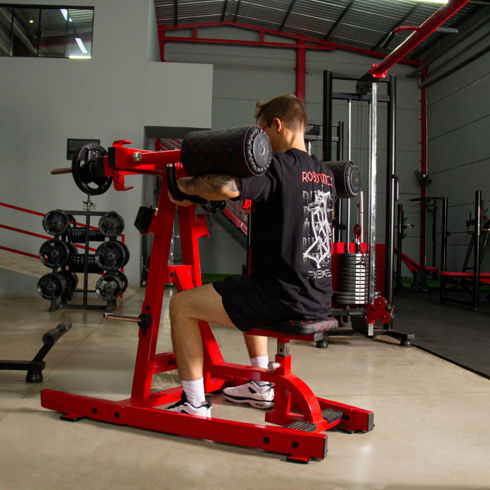 1 Deltóide Plate Loaded Lateral Raise