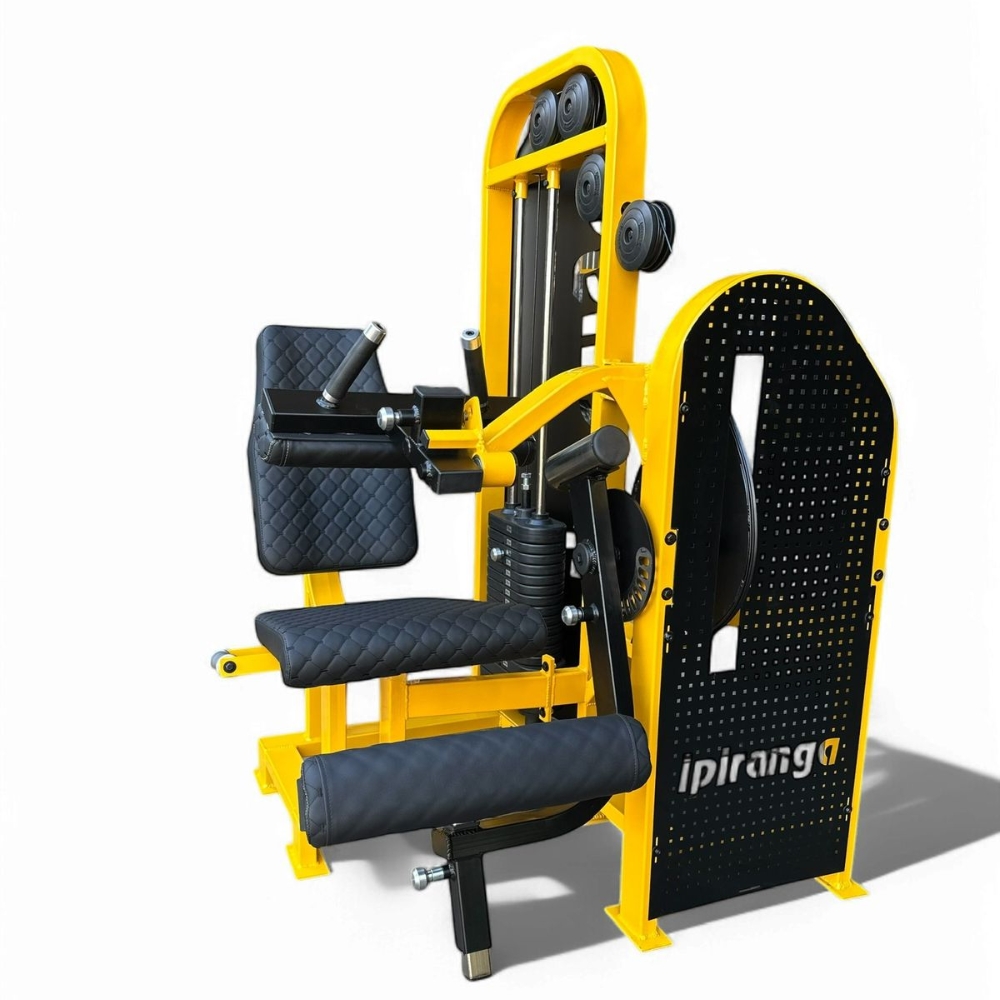 1 Flexora sentada carga