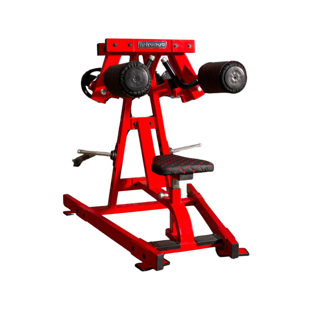 Deltóide Plate Loaded Lateral Raise