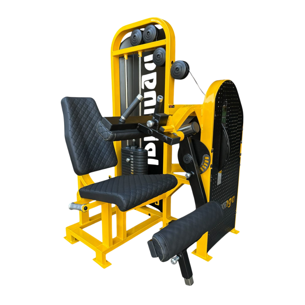 Flexora sentada carga