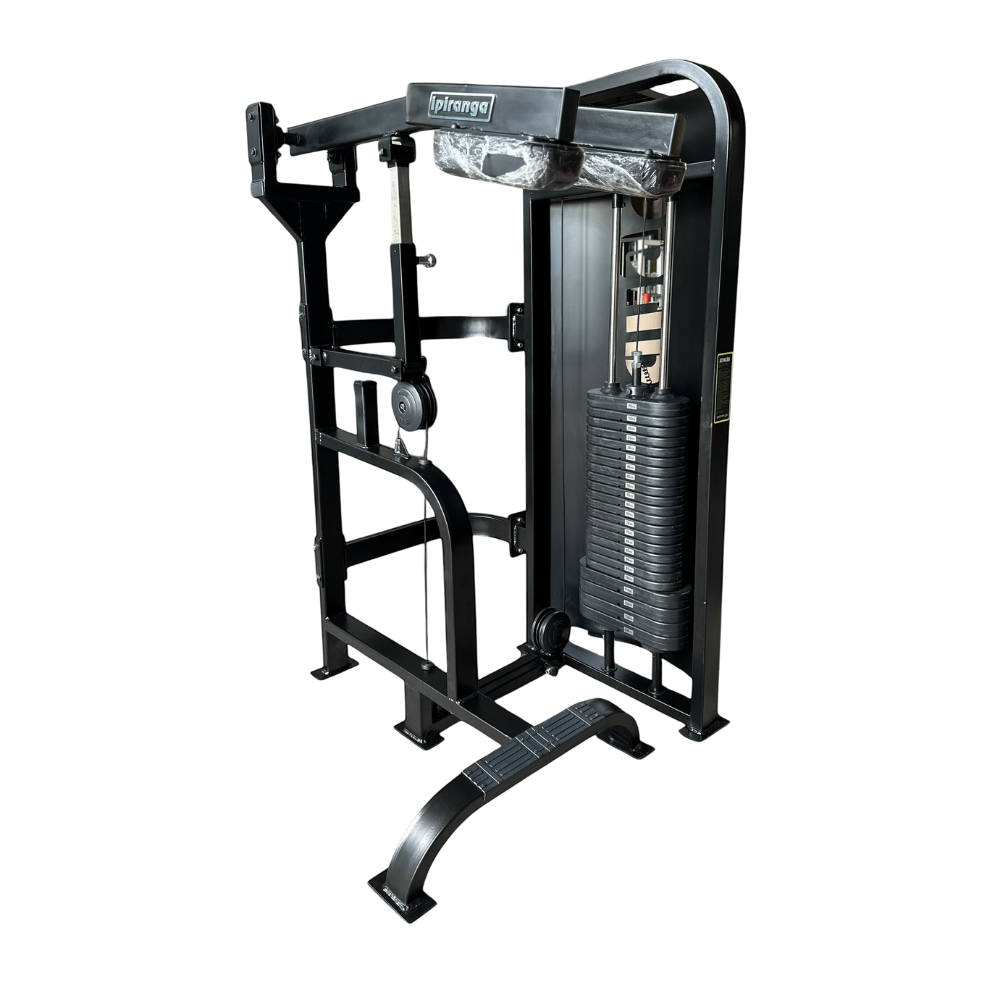 Panturrilha Vertical com carga Calf Raise