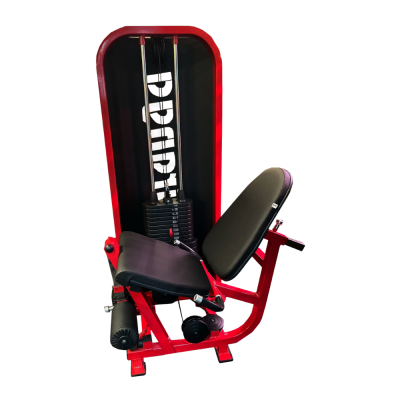 Extensora sentada carga (eixo central) Extensora sentada carga (eixo central)