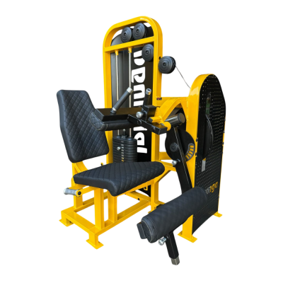 Flexora sentada carga Flexora sentada carga